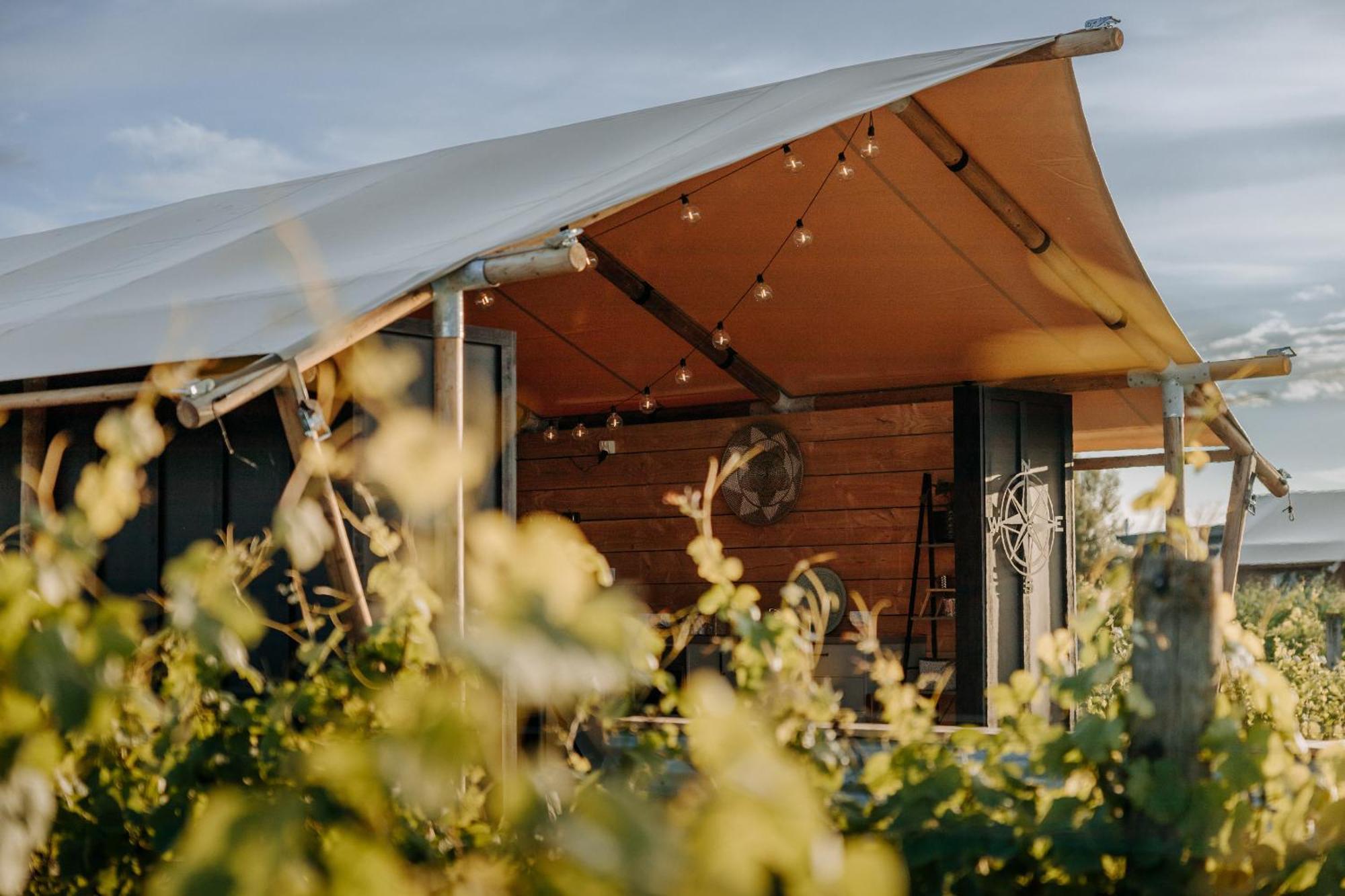 הייסטינגס Villas & Vines Glamping מראה חיצוני תמונה