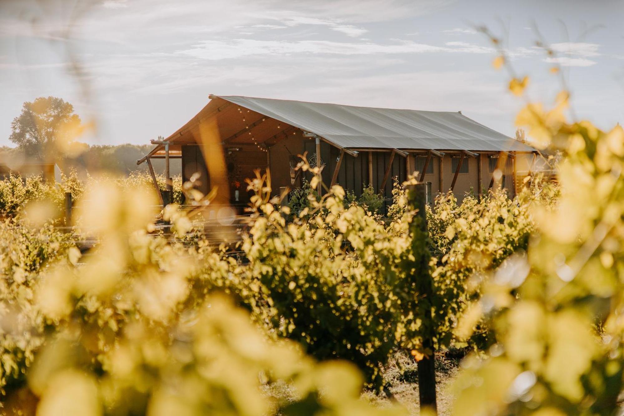 הייסטינגס Villas & Vines Glamping מראה חיצוני תמונה