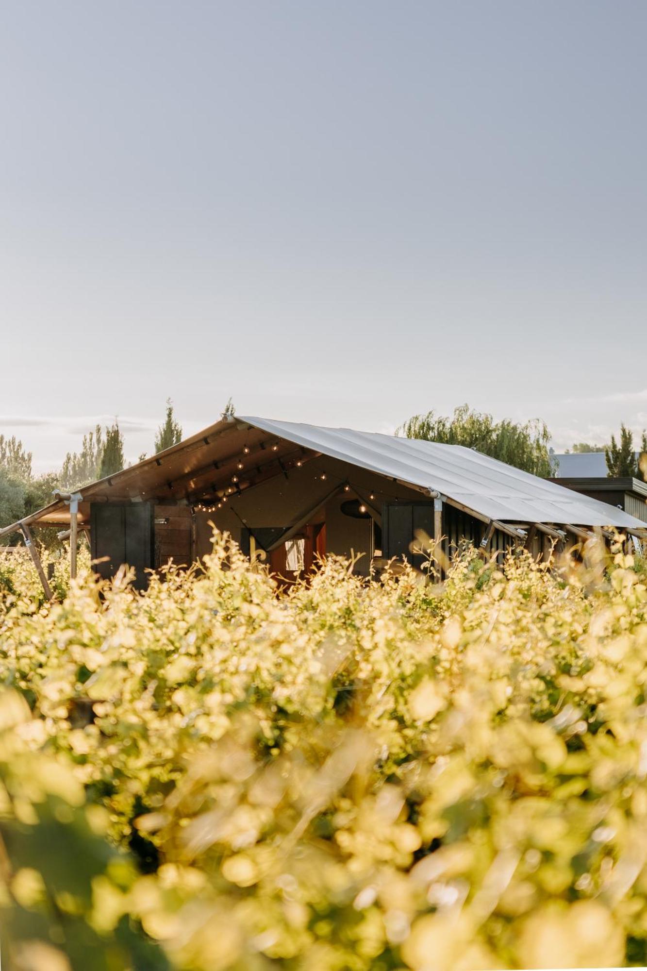 הייסטינגס Villas & Vines Glamping מראה חיצוני תמונה